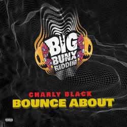 Portada de Bounce About