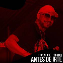 Portada de Antes de Irte
