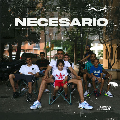 Portada de Necesario