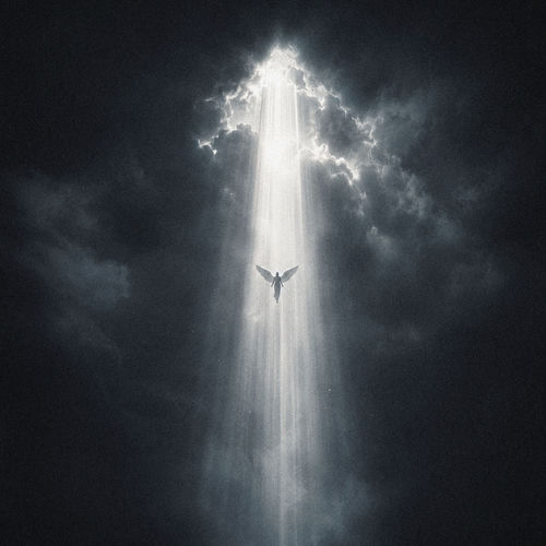 Portada de Angel De La Guarda