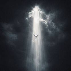 Portada de Angel De La Guarda