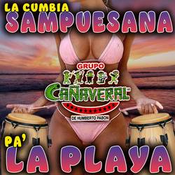 Portada de Pa' la Playa