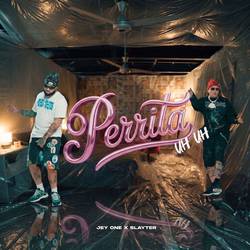Portada de Perrita