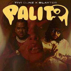Portada de Palito