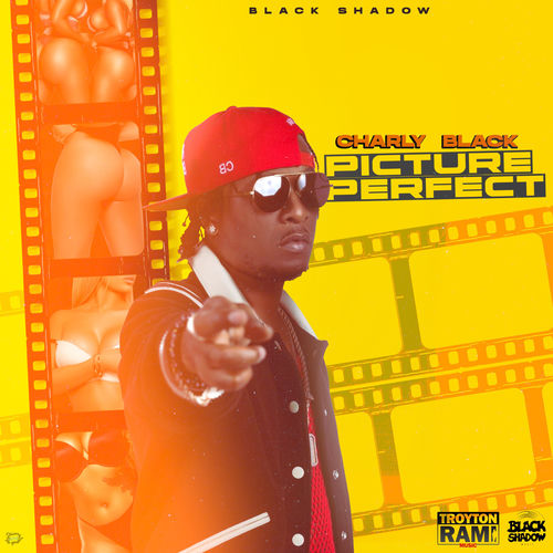 Portada de Picture Perfect