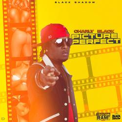 Portada de Picture Perfect