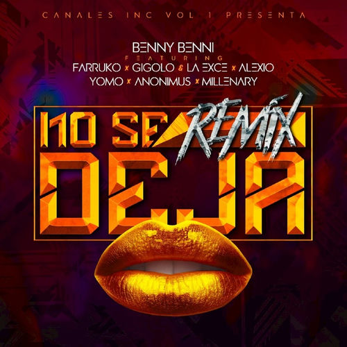 Portada de No Se Deja (Remix)
