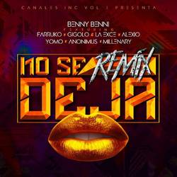 Portada de No Se Deja (Remix)