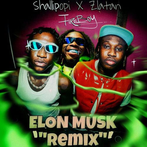 Portada de Elon Musk (Remix)