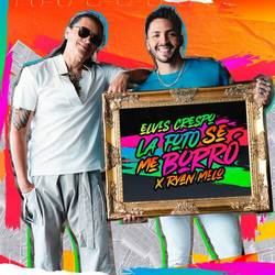 Portada de La Foto Se Me Borró (Remixes)
