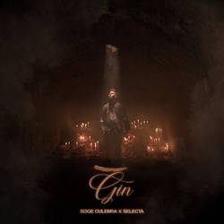 Portada de Gin