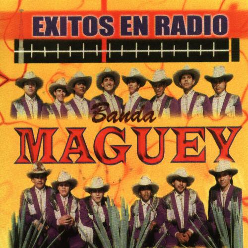 Portada de Exitos En Radio