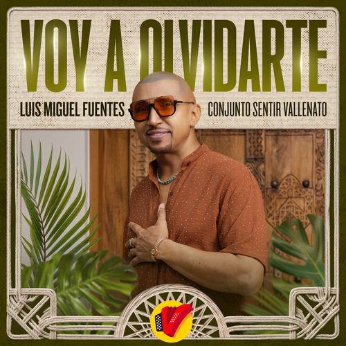 Portada de Voy A Olvidarte