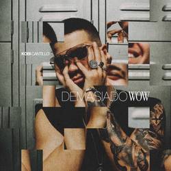 Portada de demasiado wow