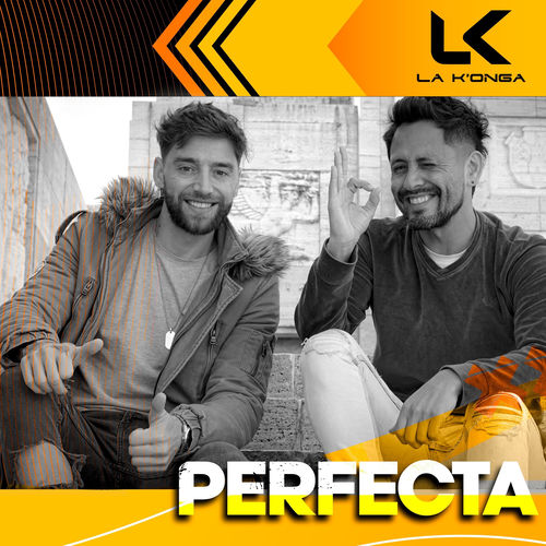 Portada de Perfecta