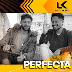 Portada de Perfecta
