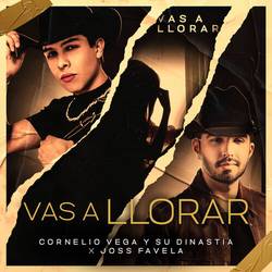 Portada de Vas a Llorar