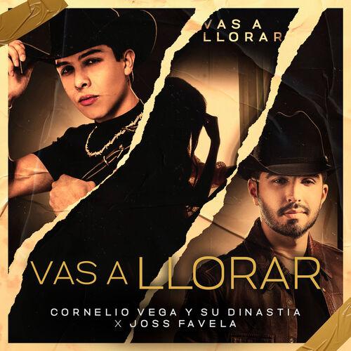 Portada de Vas a Llorar