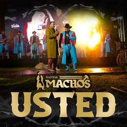 Portada de Usted