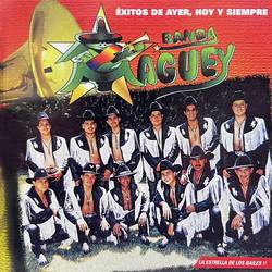Portada de Éxitos de Ayer, Hoy y Siempre