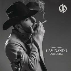 Portada de Caminando