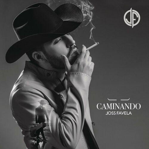 Portada de Caminando