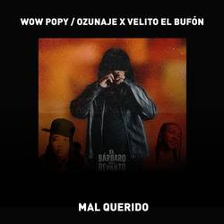 Portada de Mal querido