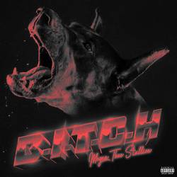 Portada de B.I.T.C.H.