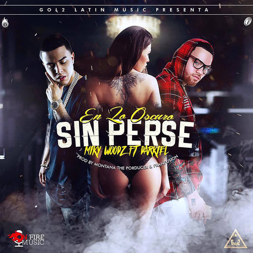Portada de En Lo Oscuro Sin Perse