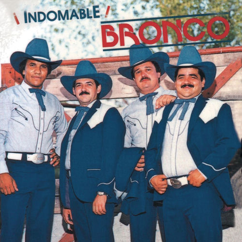 Portada de Indomable