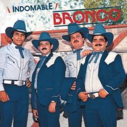 Portada de Indomable