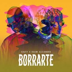 Portada de Borrarte