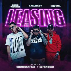 Portada de Leasing