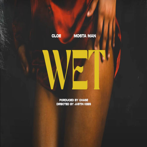 Portada de Wet