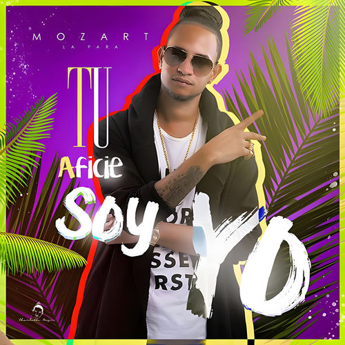 Portada de Tu Aficie Soy Yo