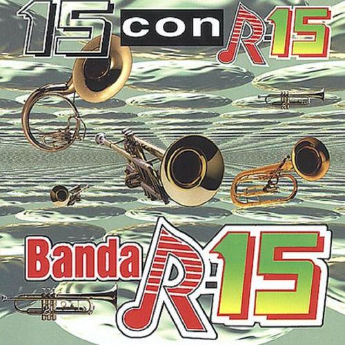 Portada de 15 Con R-15