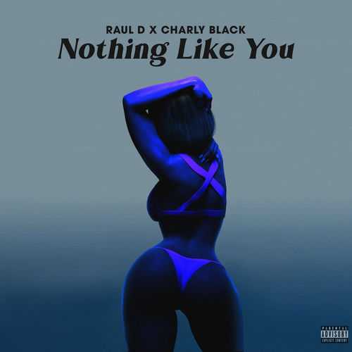 Portada de Nothing Like You