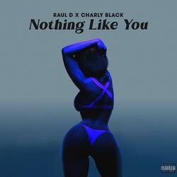Portada de Nothing Like You