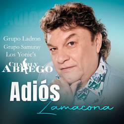 Portada de Adiós Zamacona