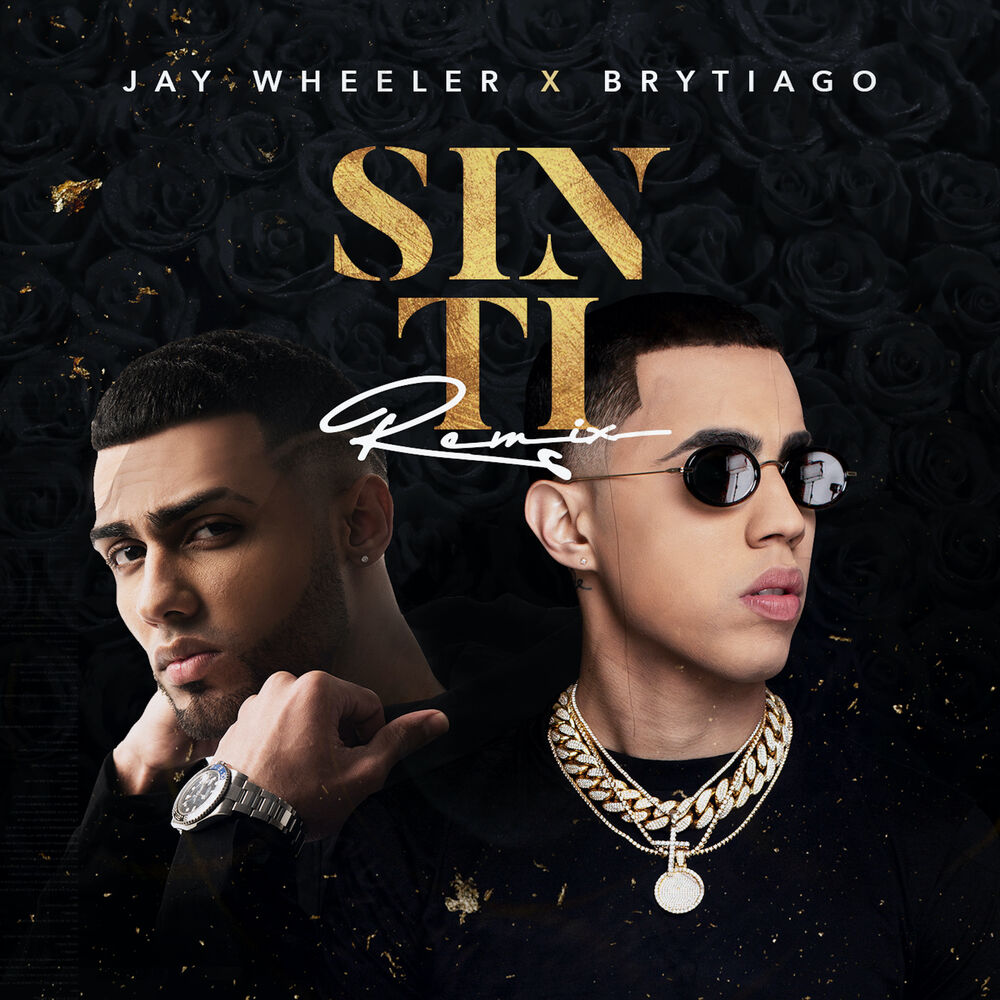 Portada de Sin Ti (Remix)