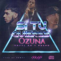 Portada de Si Tu Quiere (feat. Pusho)
