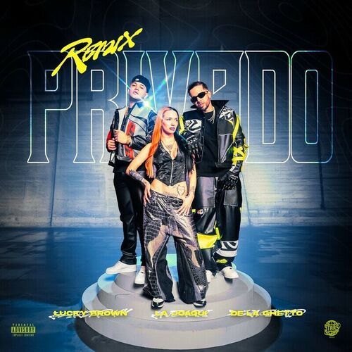 Portada de Privado (Remix)