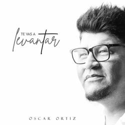 Portada de Te Vas a Levantar