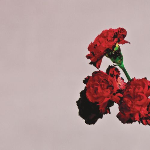 Portada de Love In The Future (Expanded Edition)