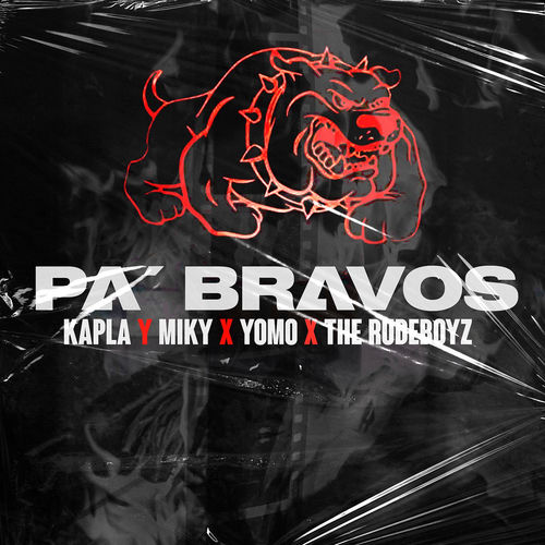 Portada de Pa Bravos