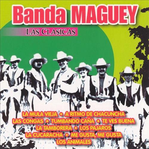 Portada de Las Clasicas Banda Maguey