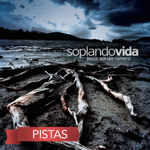Portada de Soplando Vida (Pistas)