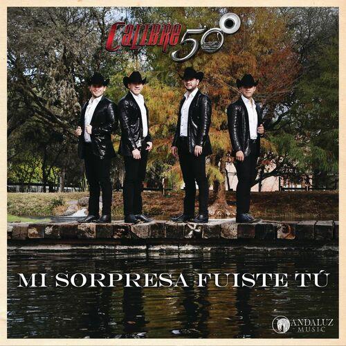 Portada de Mi Sorpresa Fuiste Tú