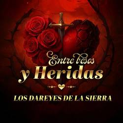Portada de Entre Besos Y Heridas
