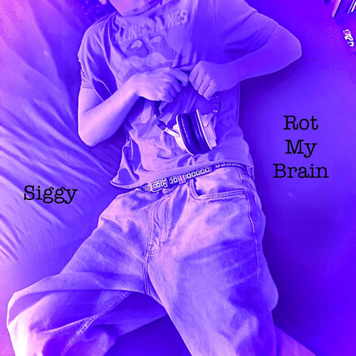 Portada de Rot My Brain